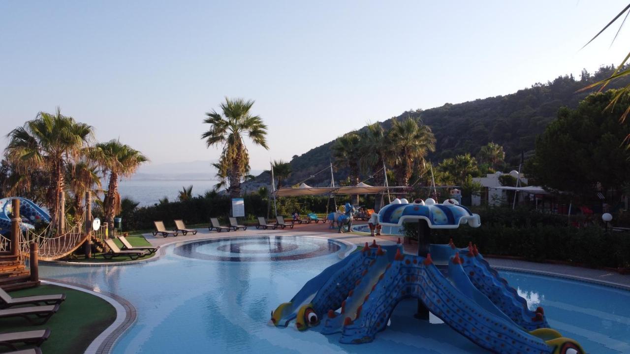 Pine Bay Holiday Resort Kusadası Exterior foto A pool at a hotel in Turkey
