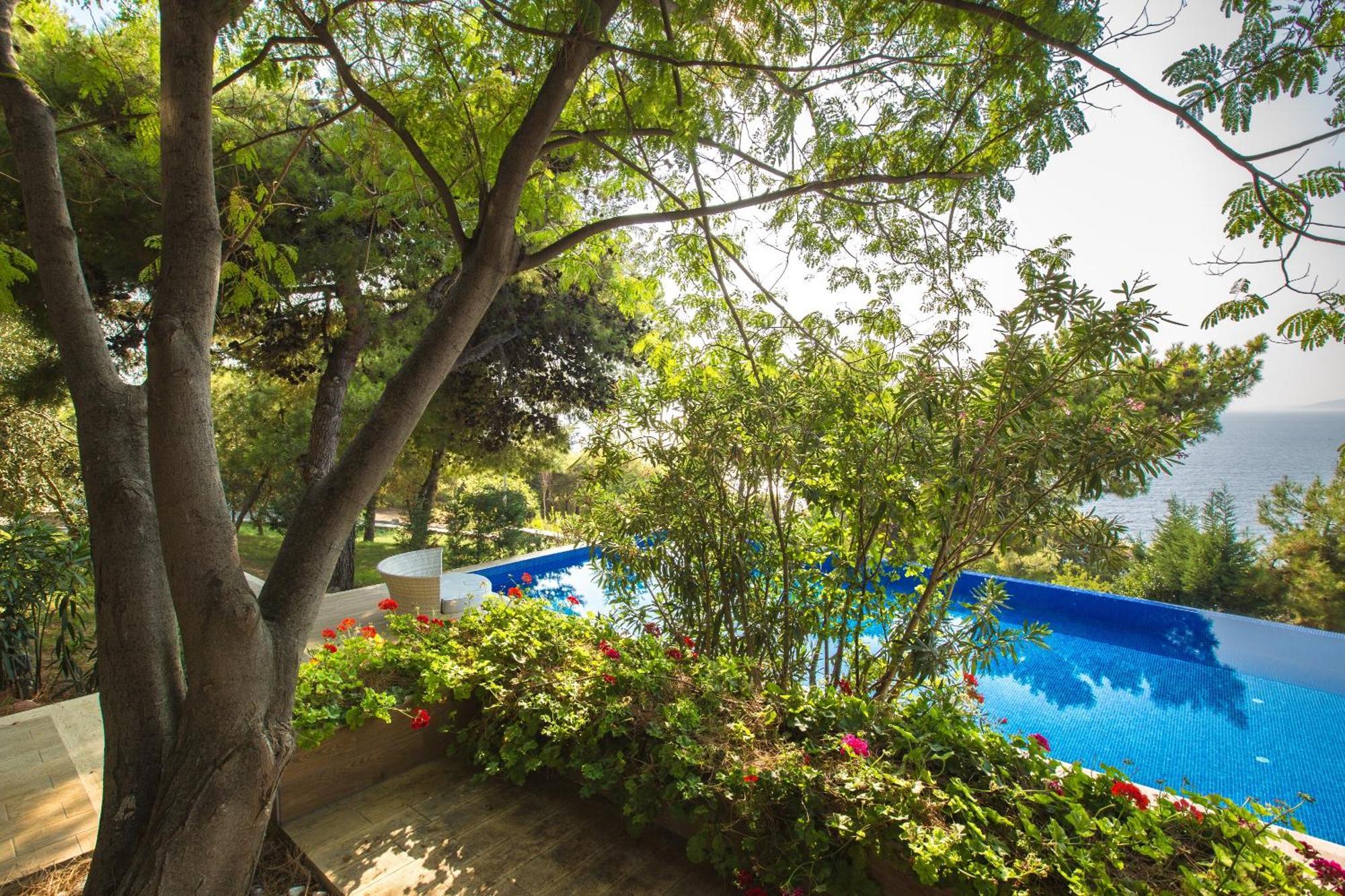 Pine Bay Holiday Resort Kusadası Quarto foto The pool at the hotel